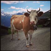 Fam. Tulmans – Belalp 2100m 